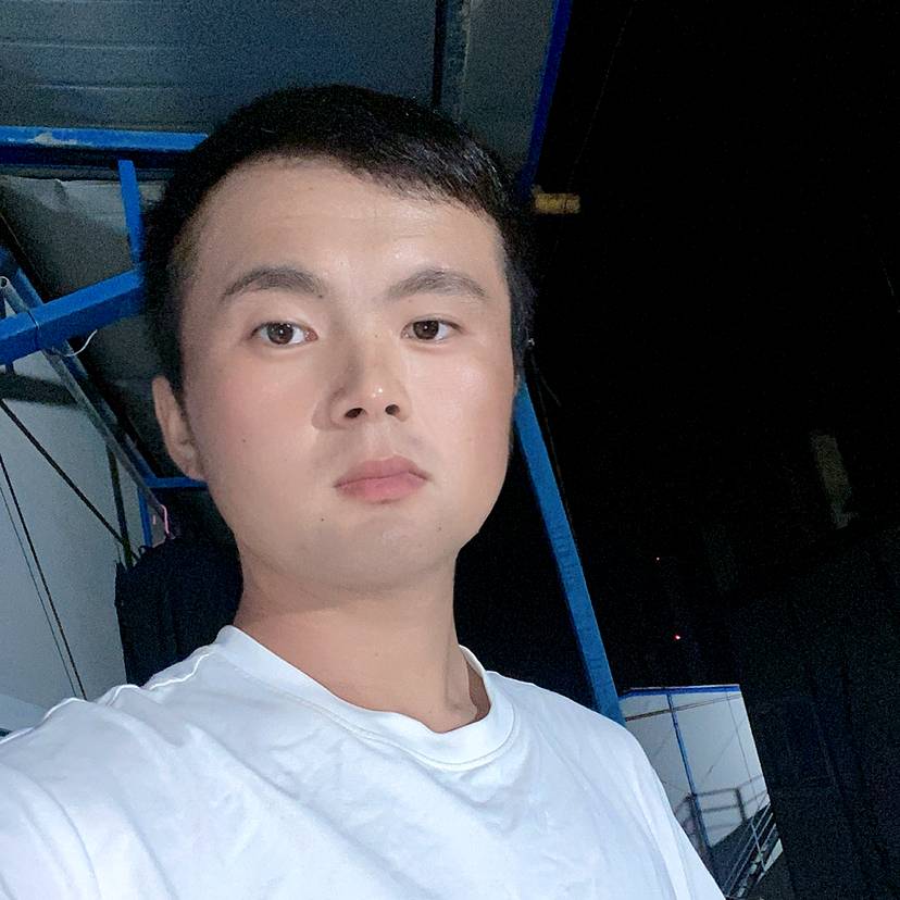 枫叶蹁跹阳光的照片