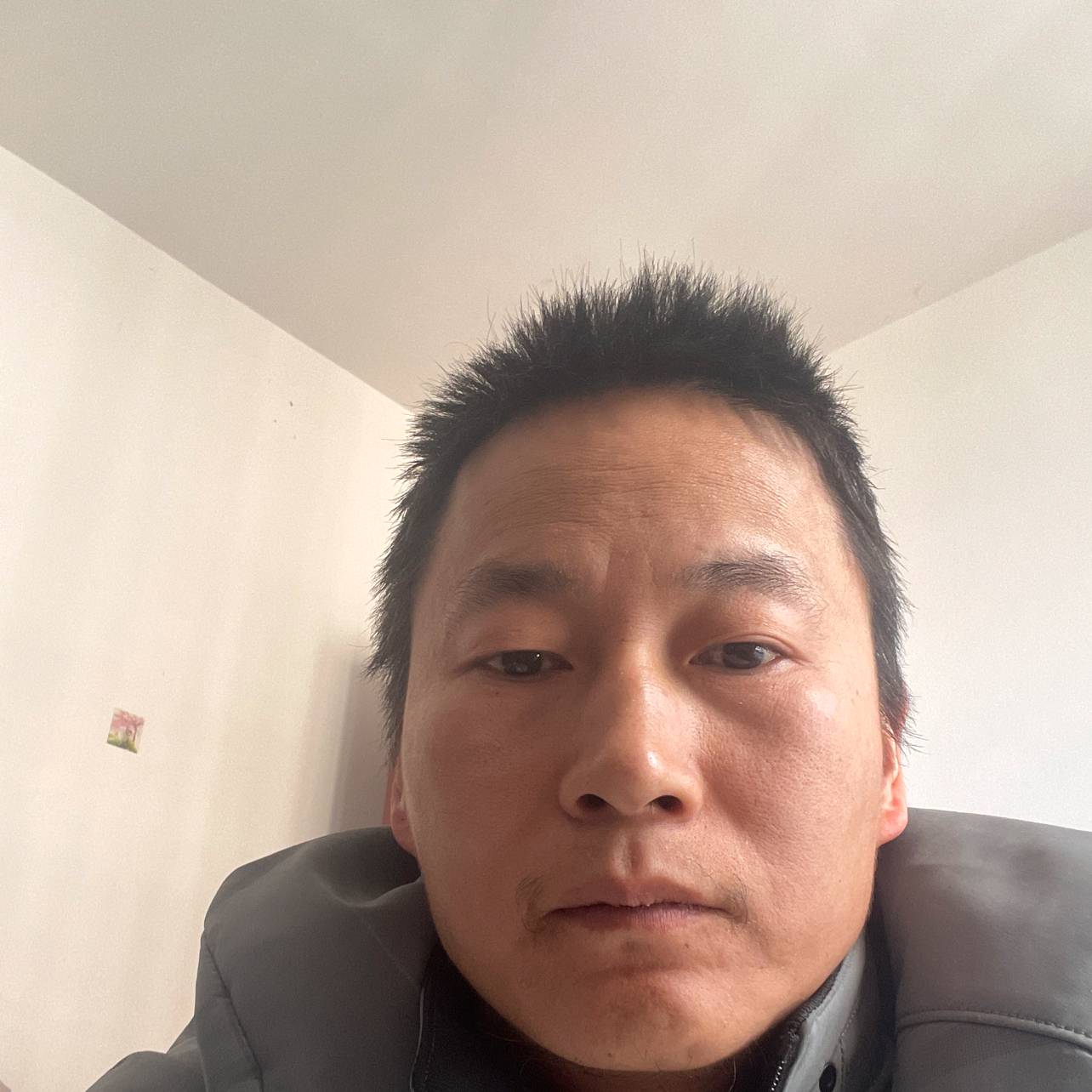 会员715362591的照片