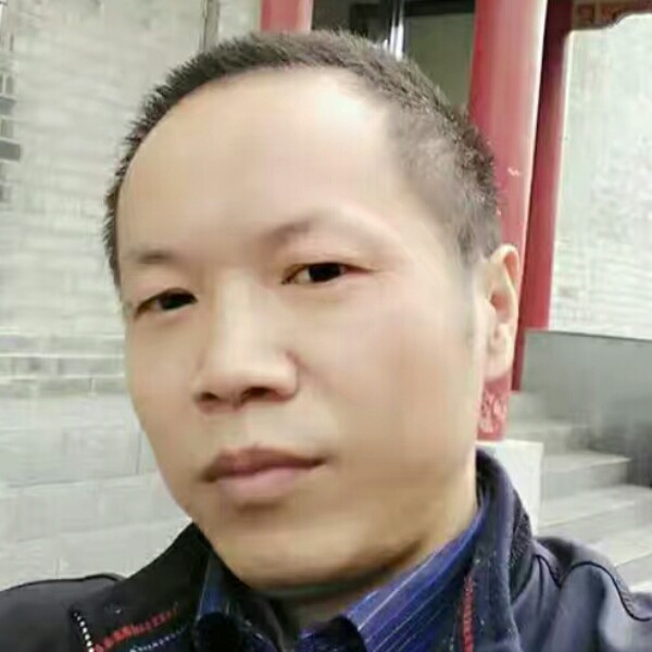酷酷热狗的照片