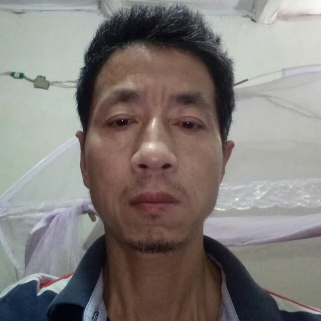 青纯一派的照片