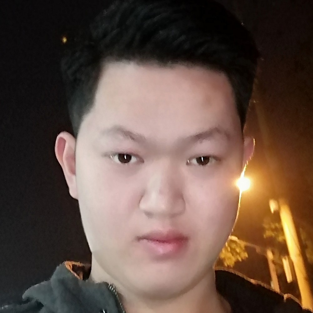 漂亮金毛的照片