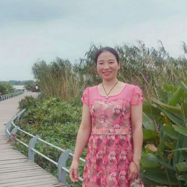 胡萝卜端庄的照片