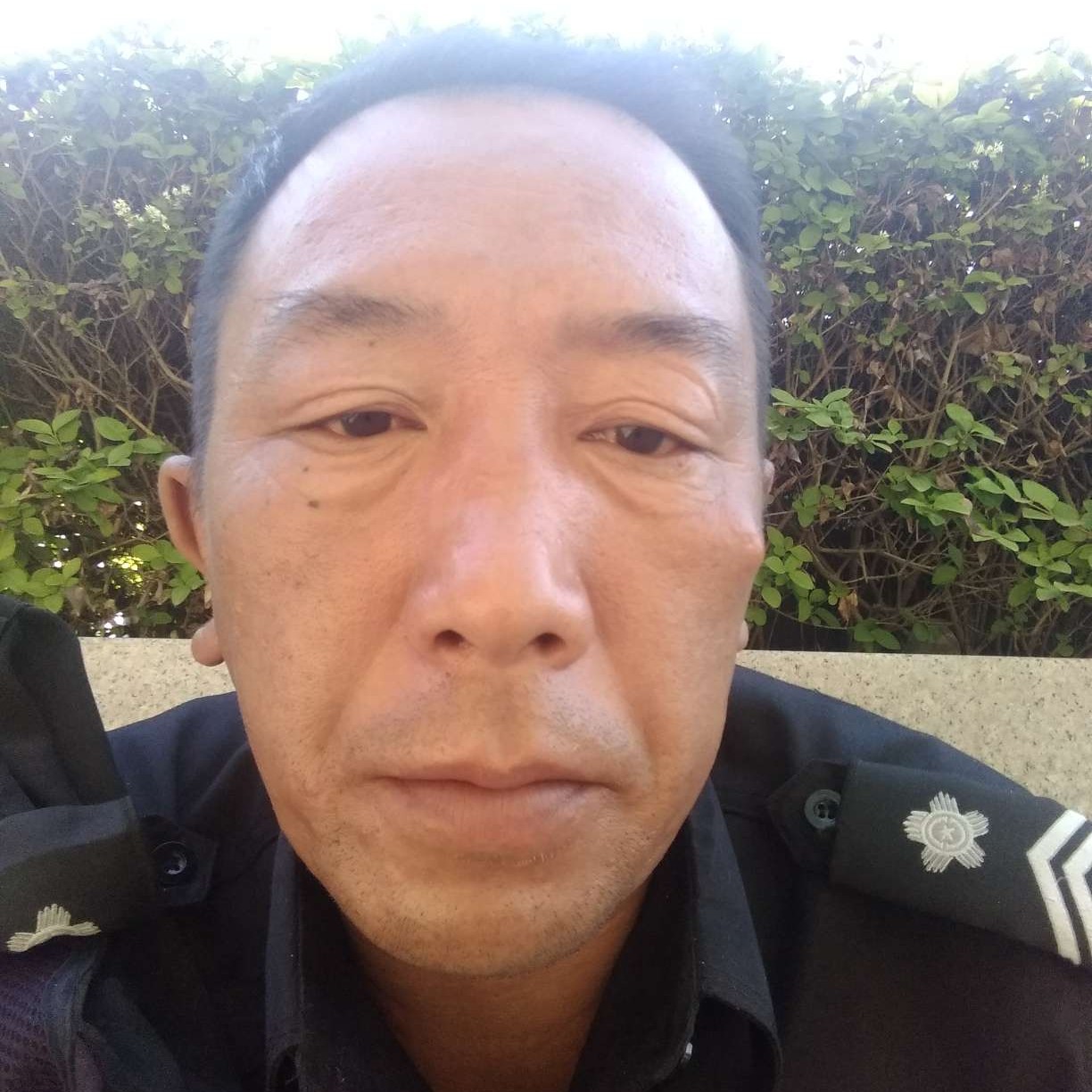 一个飞龙的照片