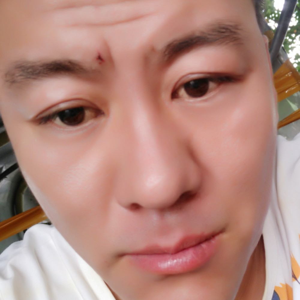 孤独的黑马的照片