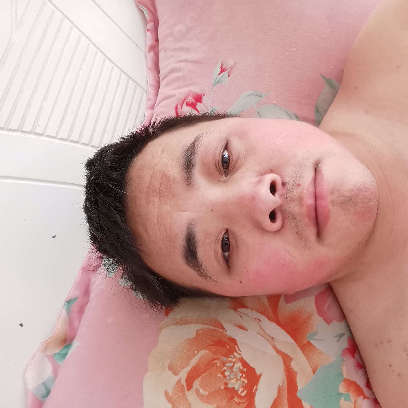 纯情蹁跹心情的照片