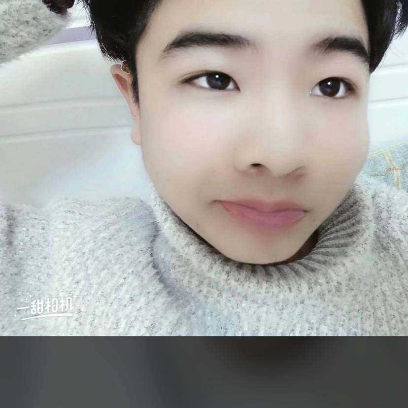 春天打风趣的照片