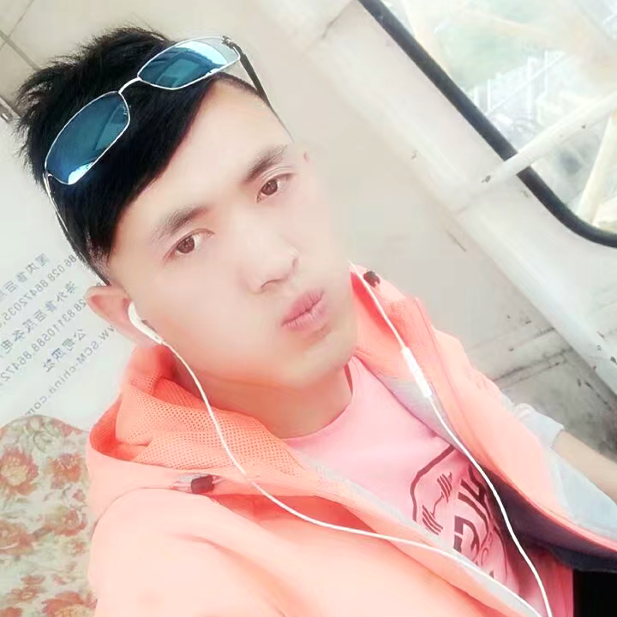 哈密瓜蹁跹花痴的照片