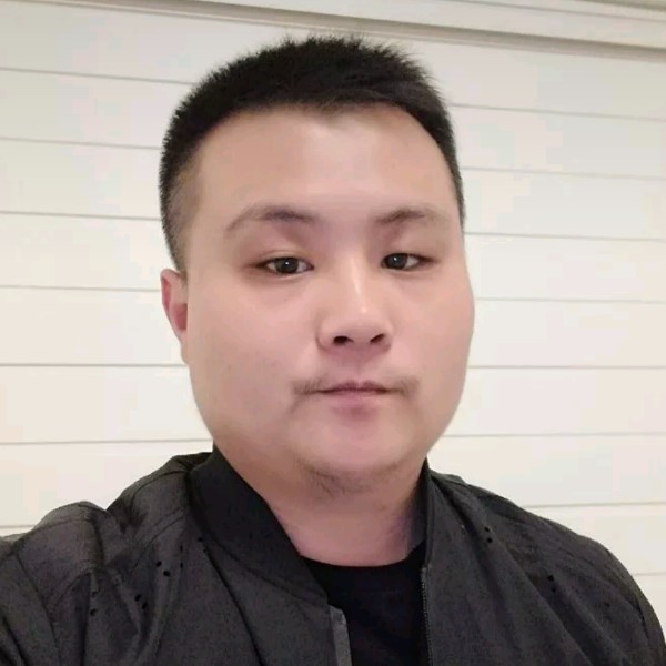 贪玩灰狼的照片