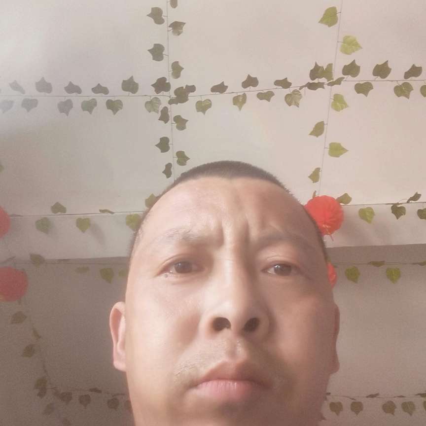 外套高挑的照片