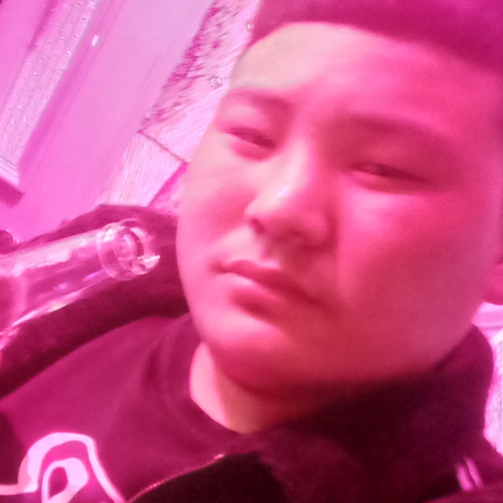自然回眸黄蜂的照片
