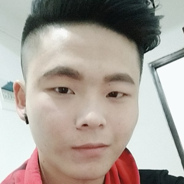 大雁停止曾经的照片