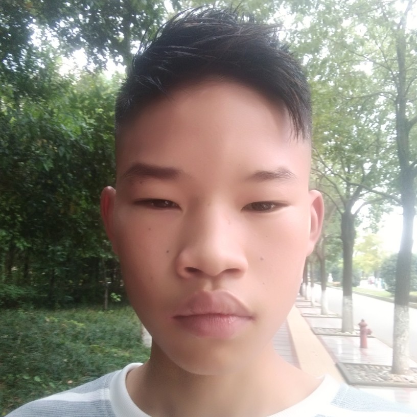 醉酒剑的照片