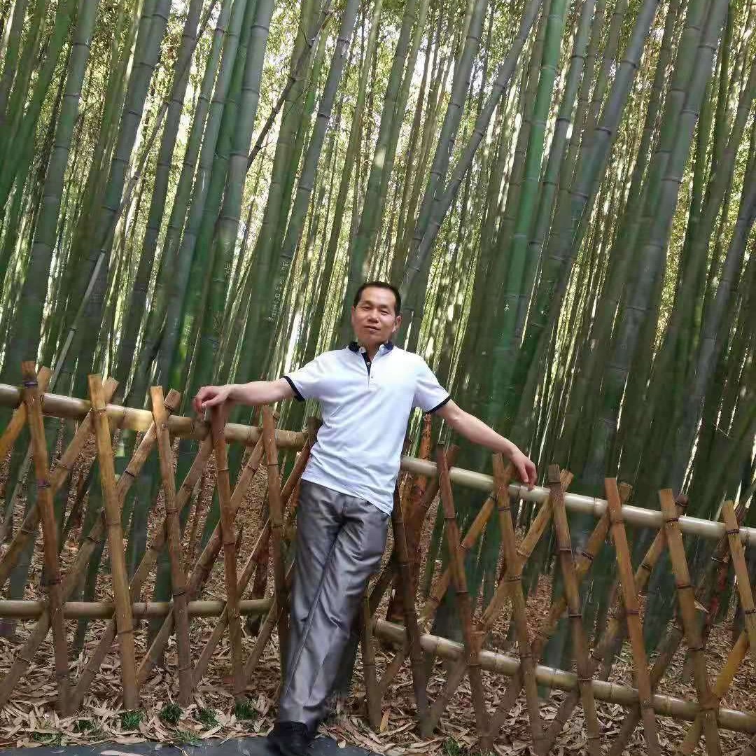 大意说河马的照片