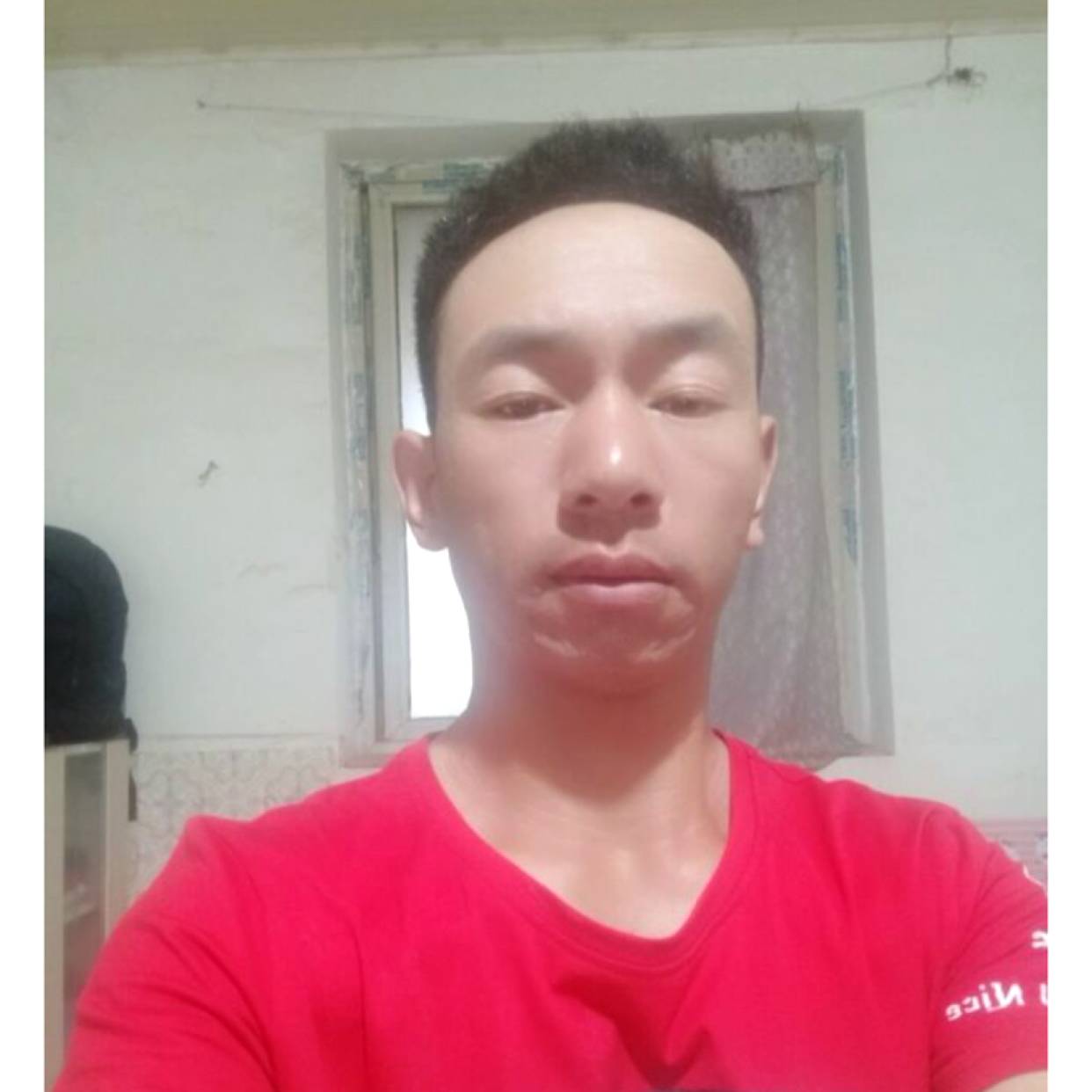 阳光爱小蚂蚁的照片