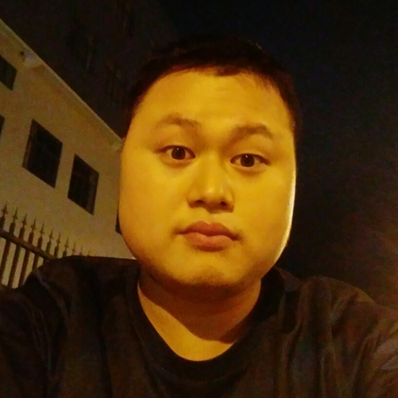 聪明蚂蚁的照片