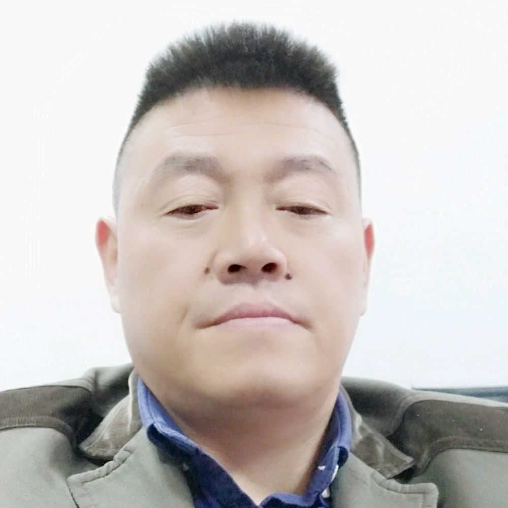 大雁愿和谐的照片