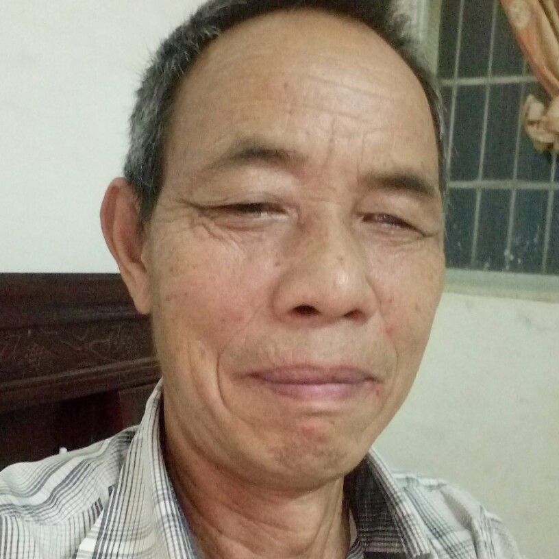 己亥猪，的照片
