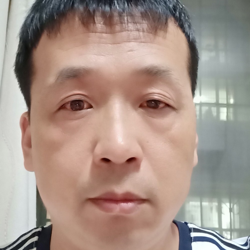 惊鸿坚定的照片