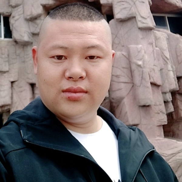 陆地小钢炮的照片