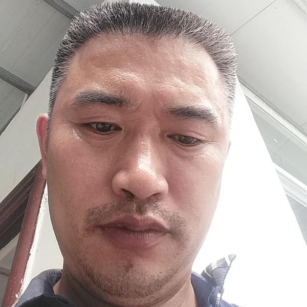 魁梧漫步小鸽子的照片