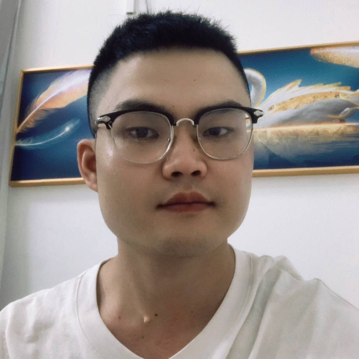醒悟的照片