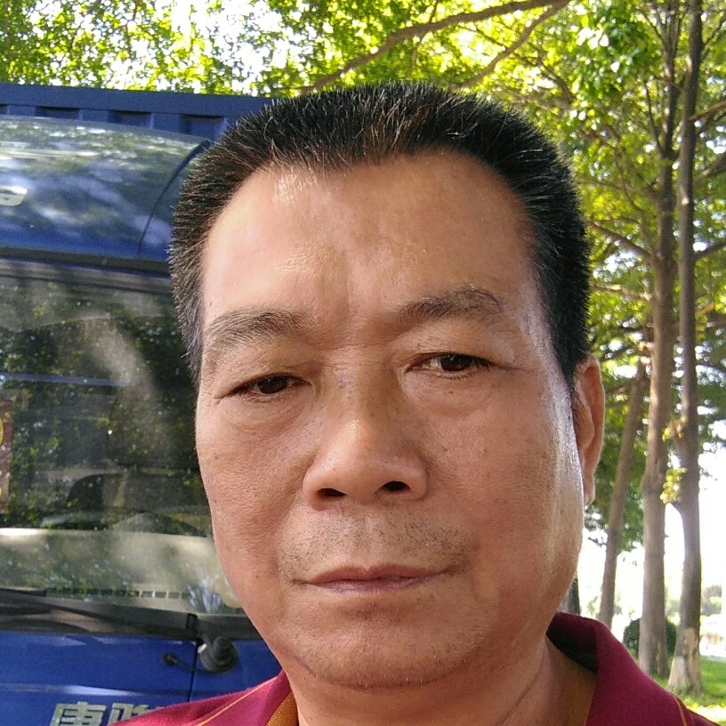 鲤鱼发夹的照片