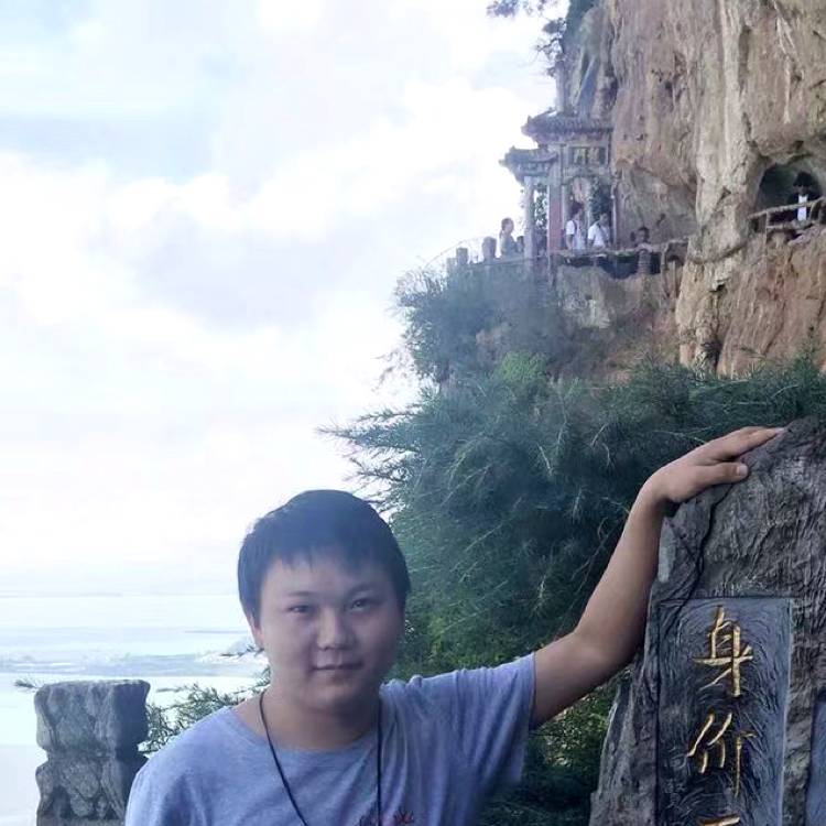 活泼倾心奇异果的照片