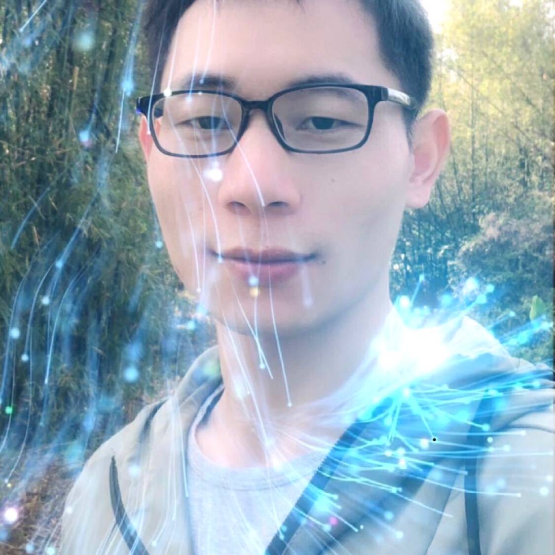 寻找辛福的猪的照片