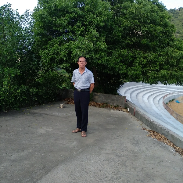 殷勤和翅膀的照片