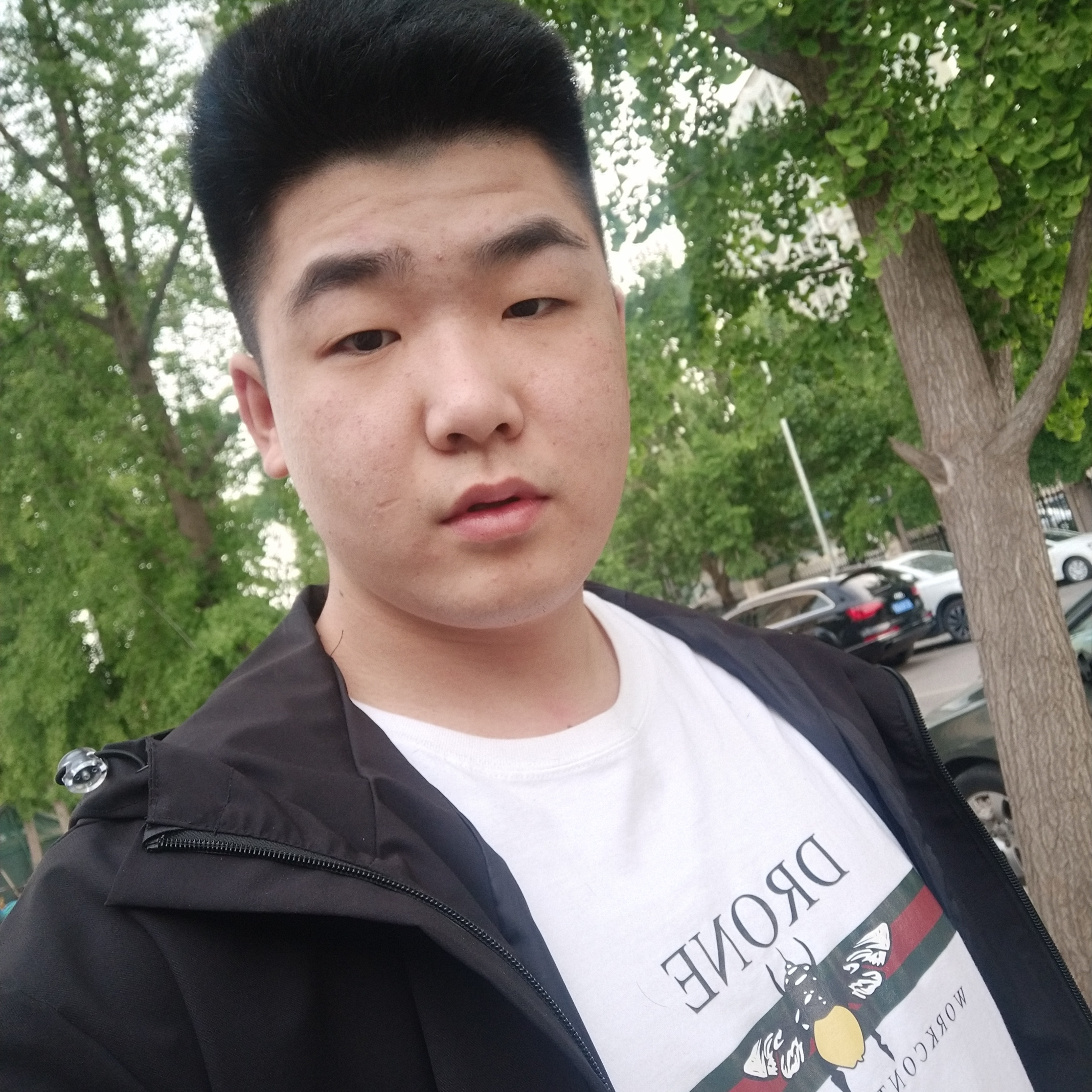 书本大力的照片