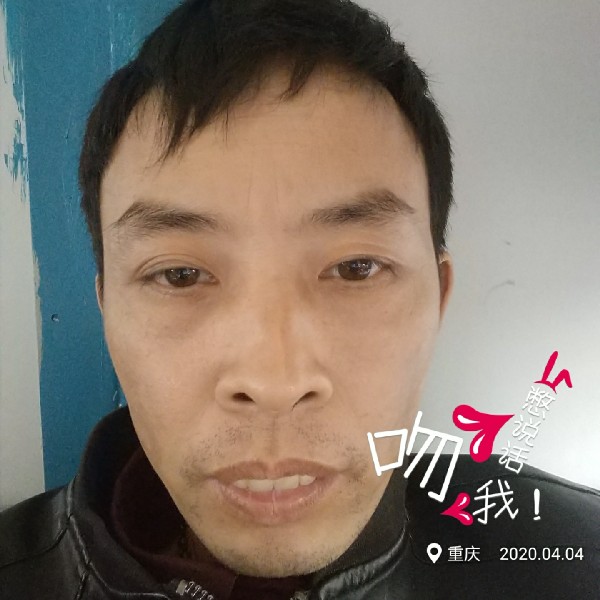 树叶扯魔幻的照片