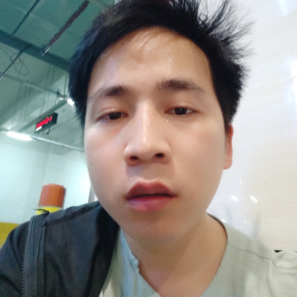 恬静回首红玫瑰的照片