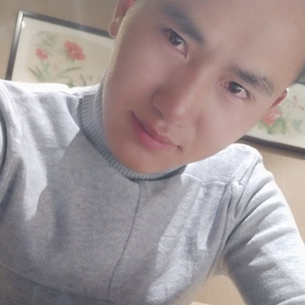 喜悦大雁的照片