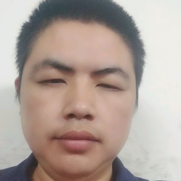 小小鸟的照片