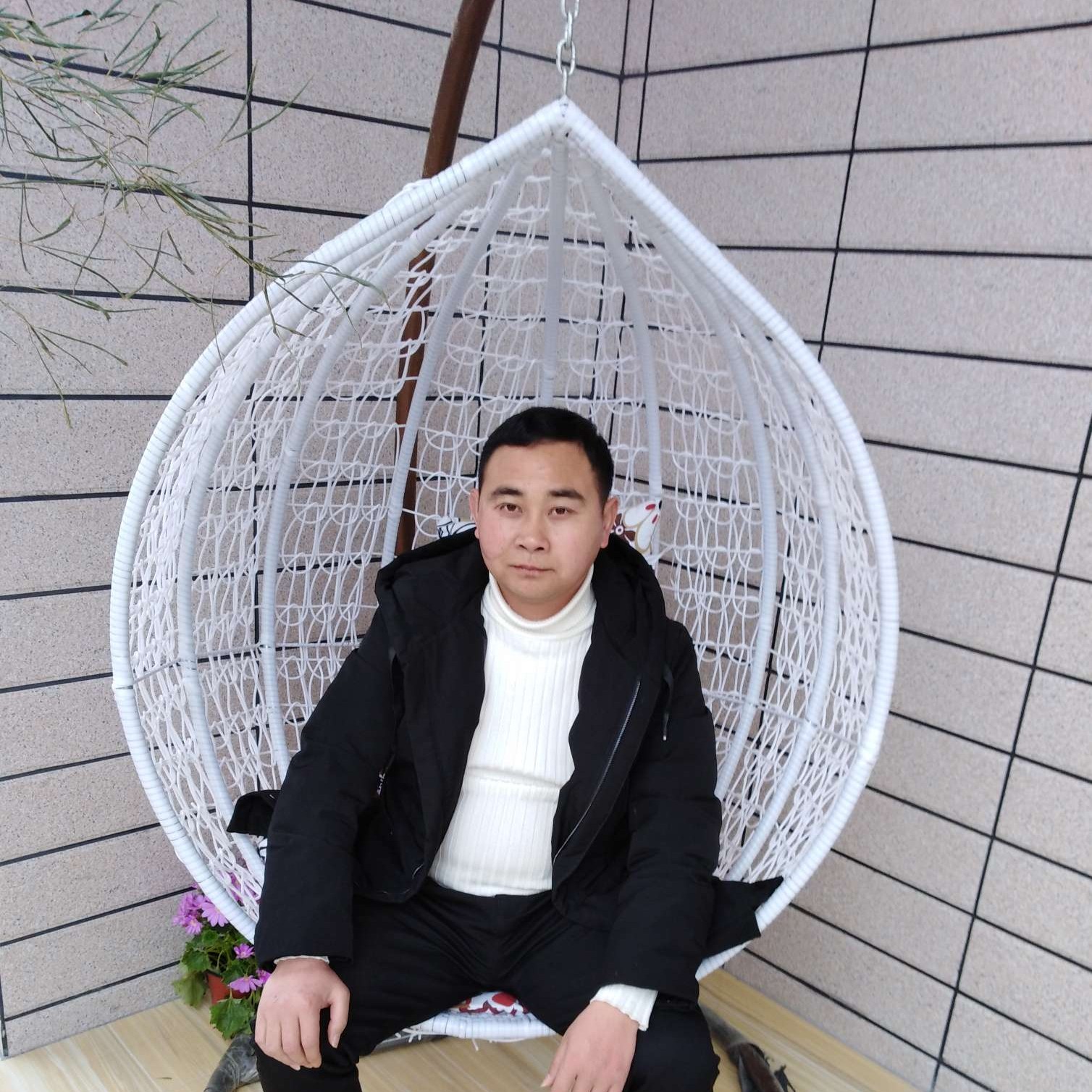 老鼠隐形的照片