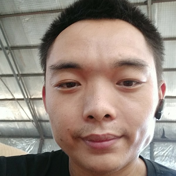 笨笨蹁跹乌龟的照片