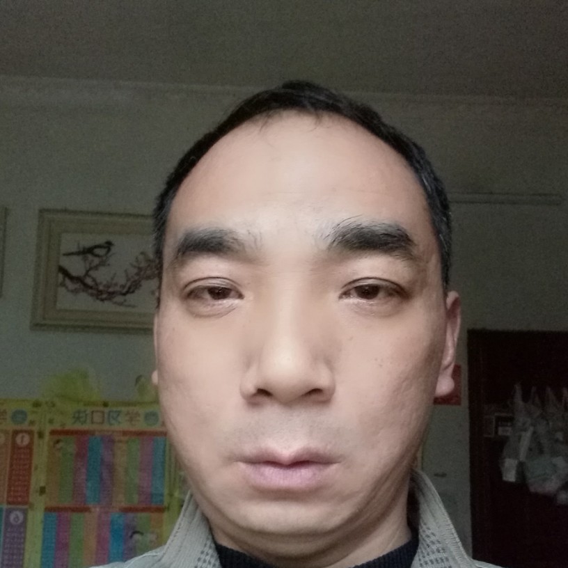温暖泥猴桃的照片