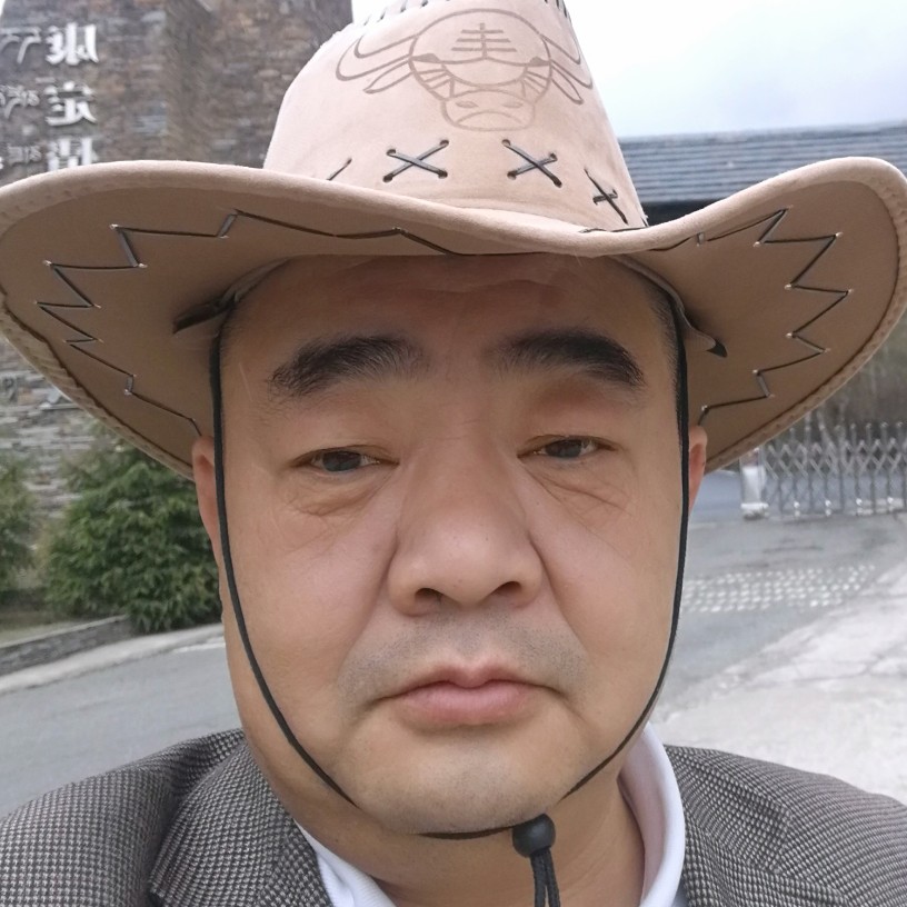 竹叶1的照片
