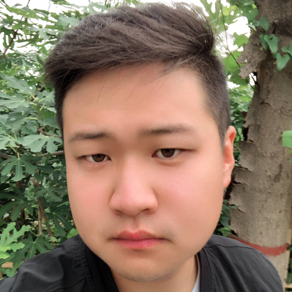 青衫凝眸长情的照片