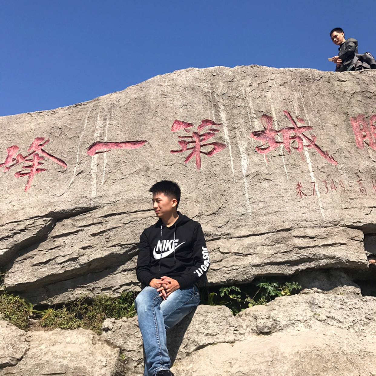 大象和昏睡的照片