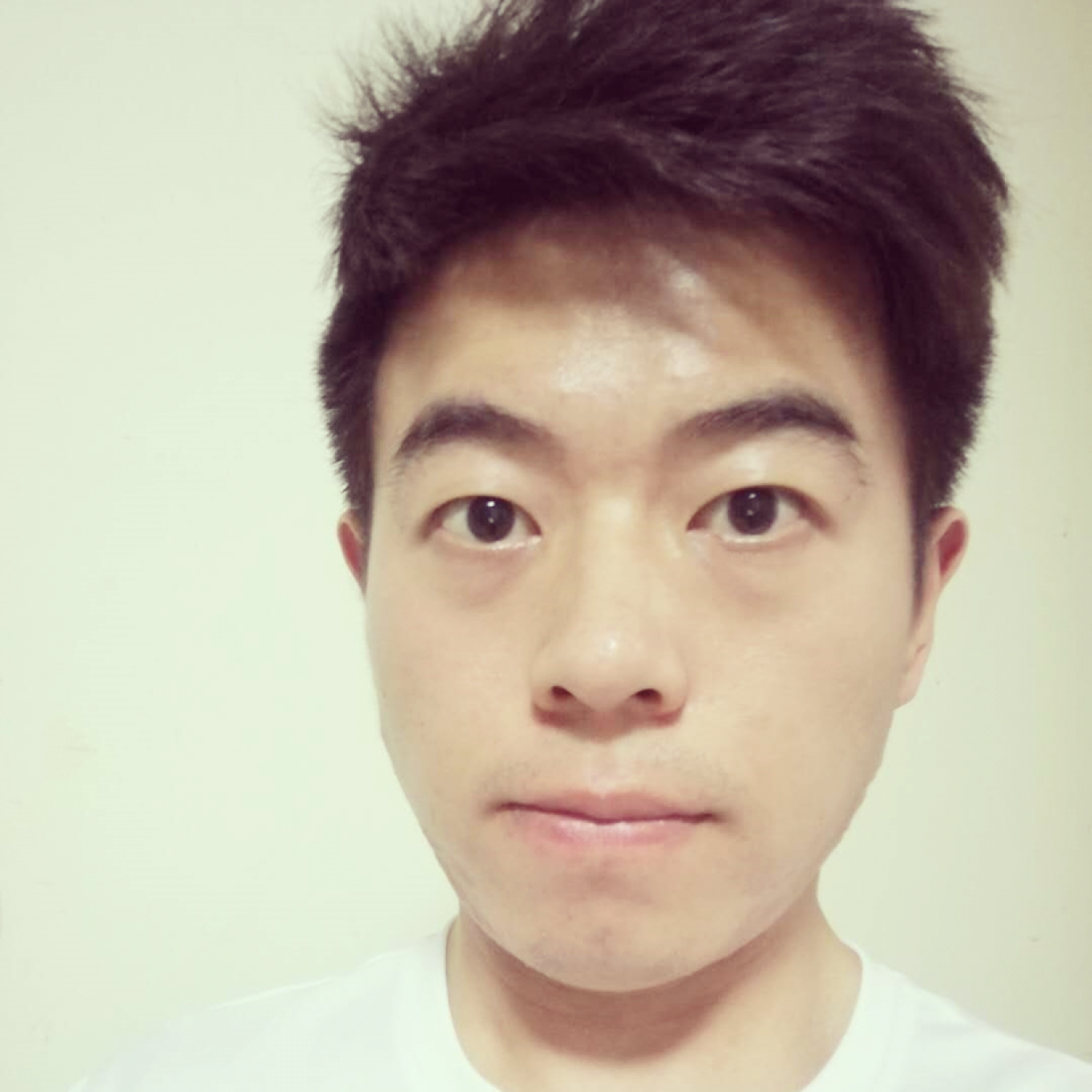 蝶舞用明亮的照片