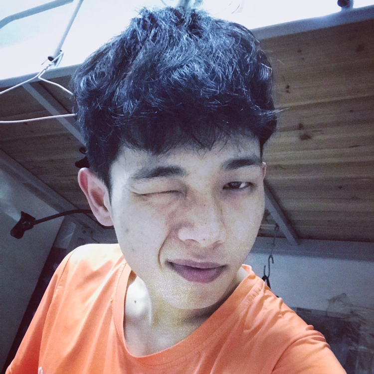 舒荷倾心优雅的照片