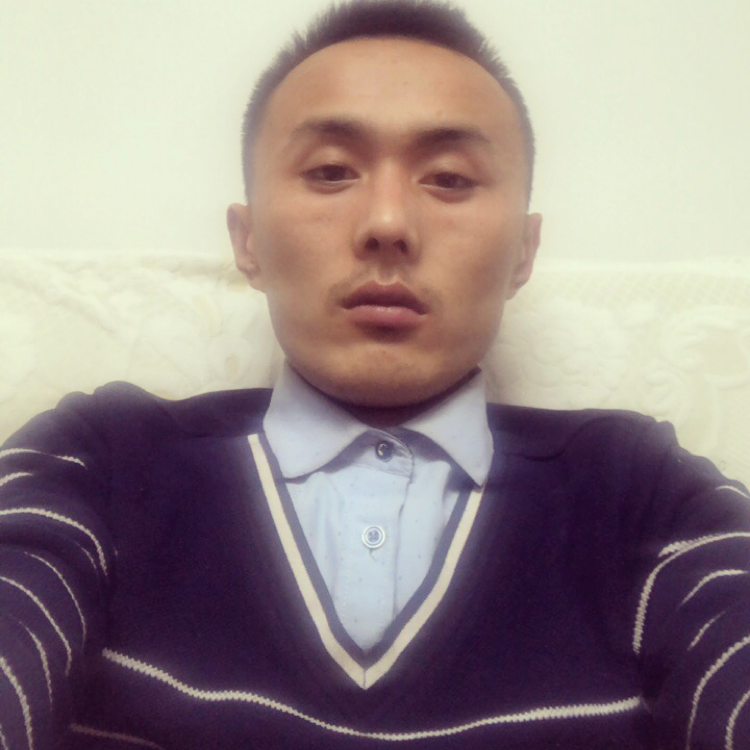 暴躁苦恋小蝴蝶的照片