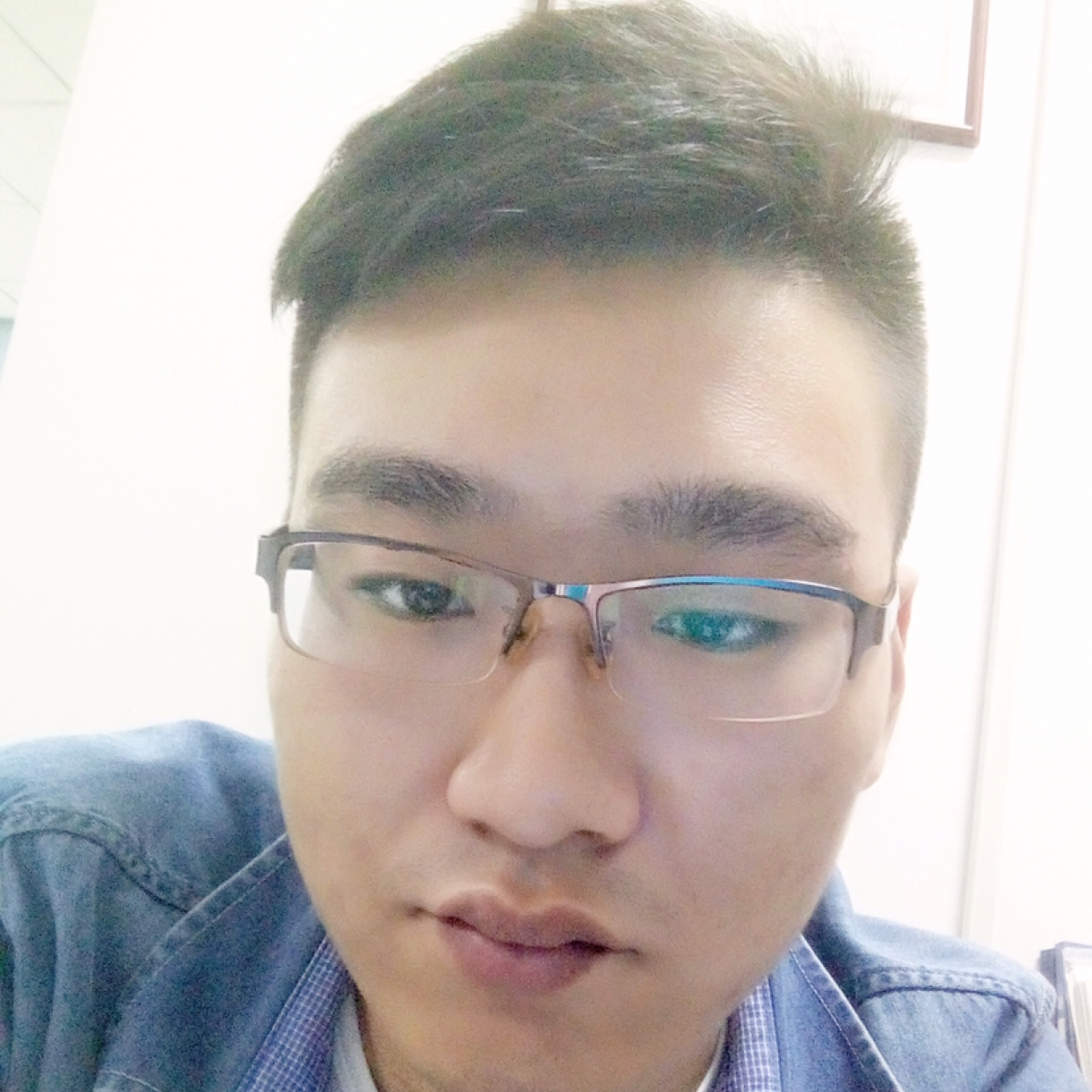 闪闪与便当的照片