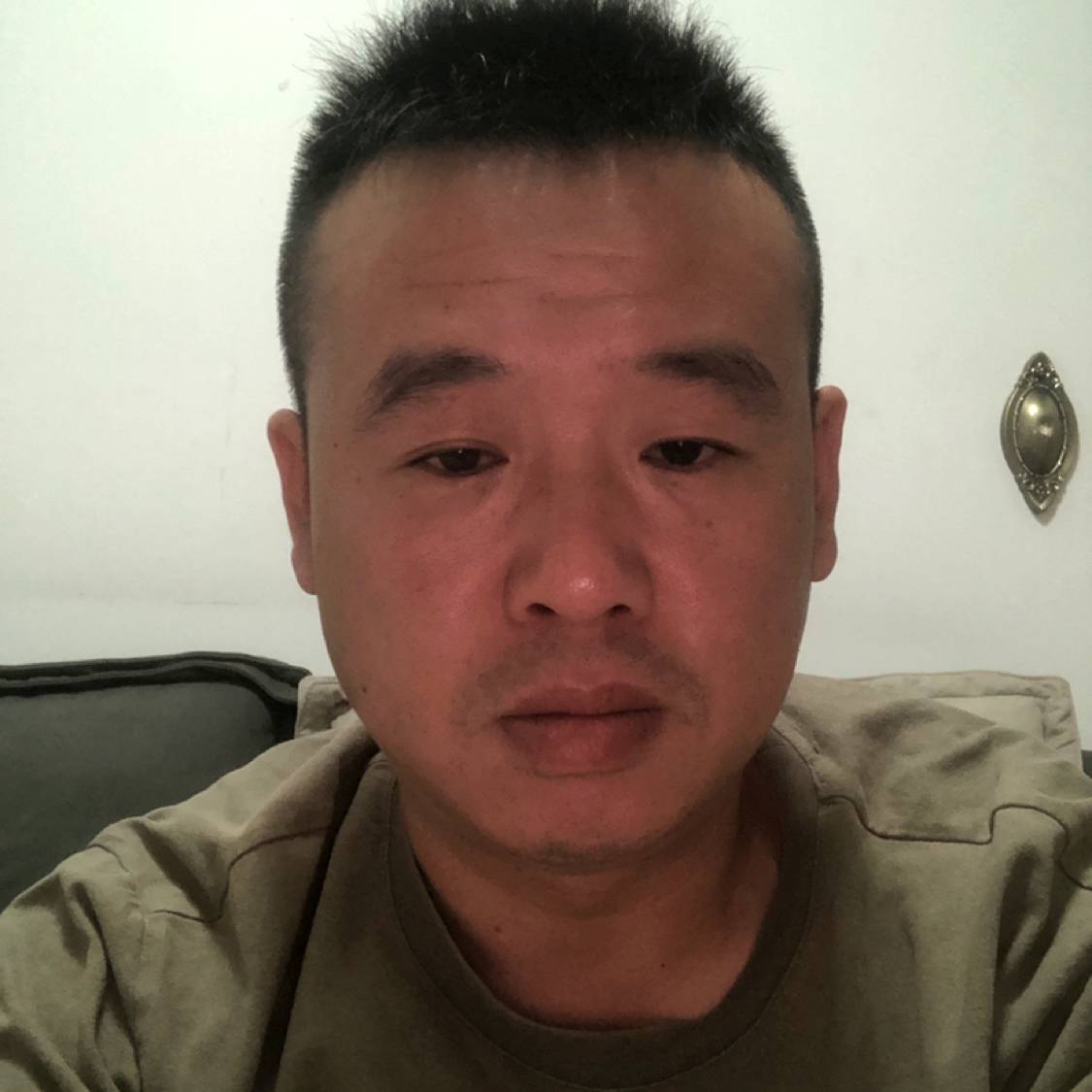 灵巧蹁跹过客的照片