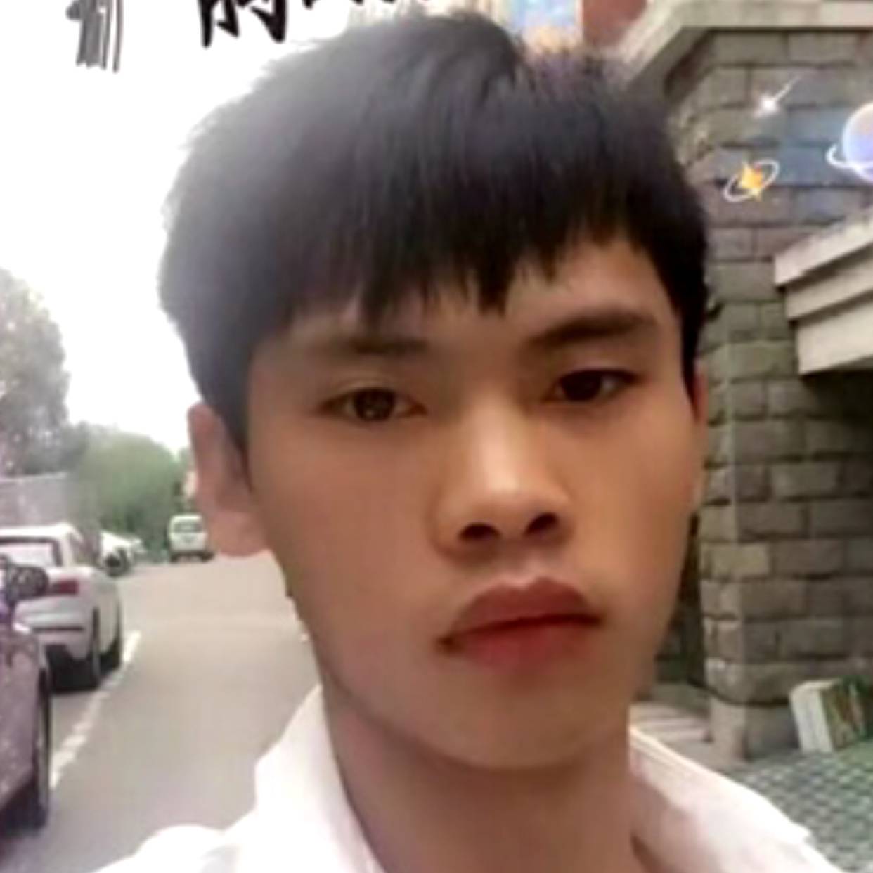 高贵邂逅舒荷的照片