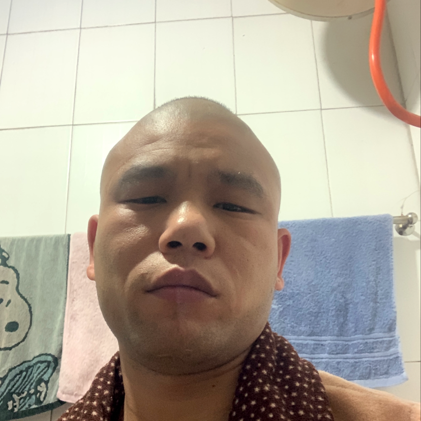 大树高挑的照片