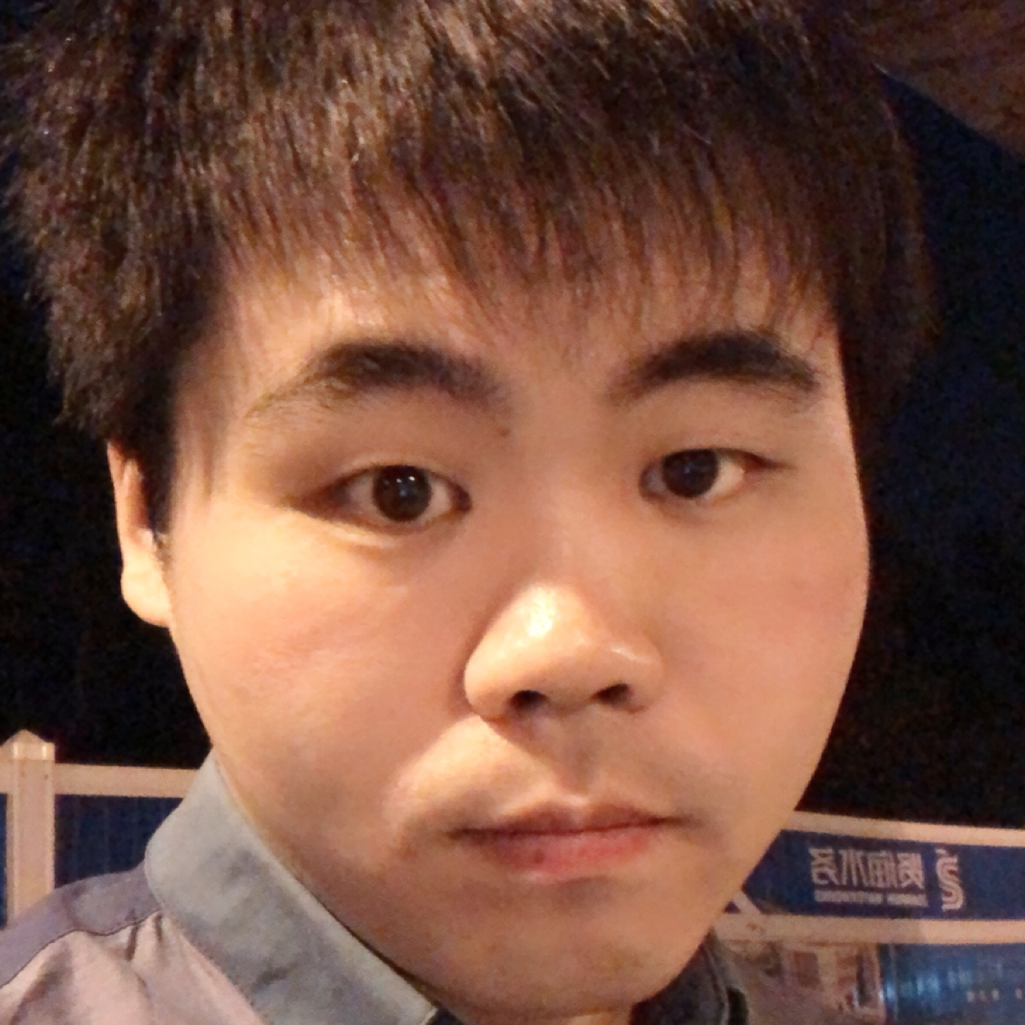 柔弱笑长颈鹿的照片