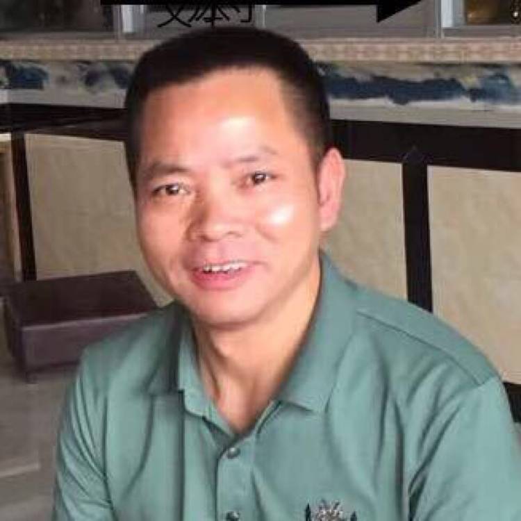 金毛阳光的照片