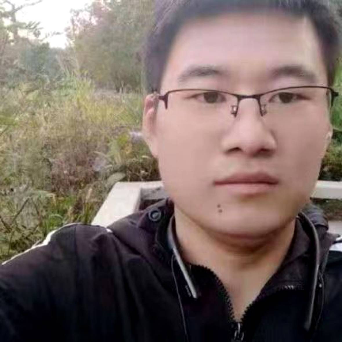 背后相许毛豆的照片